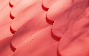 Glenuig plastic roof costs